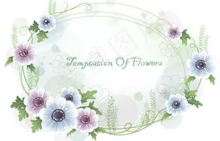 韩国植物装饰边框矢量图48