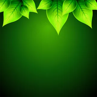 梦幻绿色植物背景