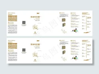 冬虫夏草三折页-xin