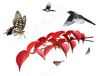 红枫叶蝴蝶小鸟PSD高清素材