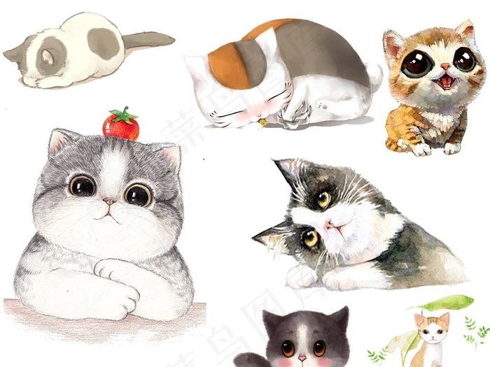 卡通动物宠猫咪png海报设计素材