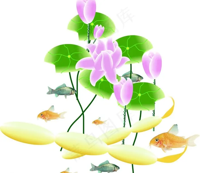 荷花莲藕图片cdr矢量模版下载