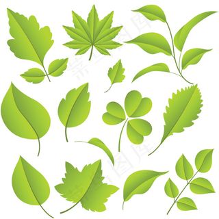 树叶矢量素材