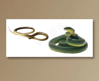 蛇类免抠素材PSD分层