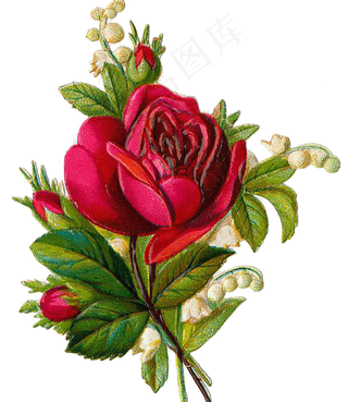 复古玫瑰花图片