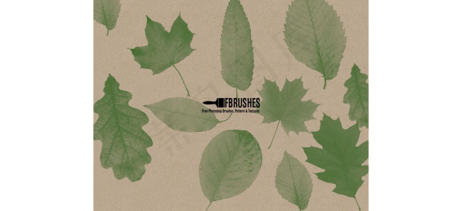 绿叶和树叶装饰PS笔刷
