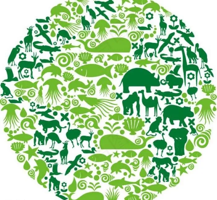 绿色海洋图标背景图片eps,ai矢量模版下载