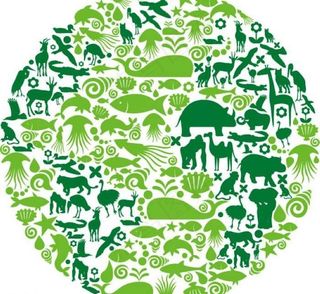 绿色海洋图标背景图片