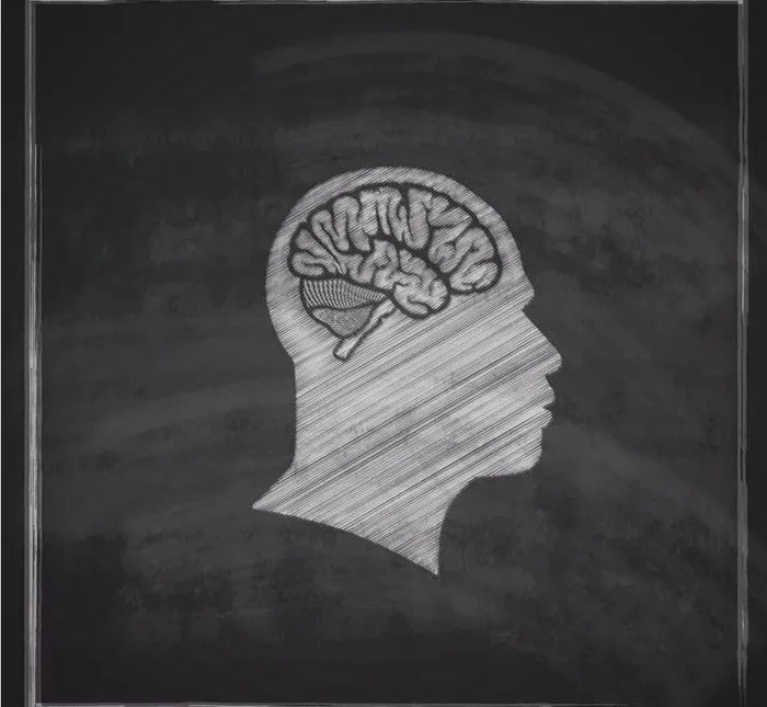 人脑大脑结构设计图片eps,ai矢量模版下载