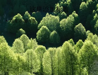 意大利第一辑风景PPT模板范文