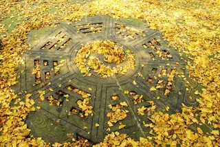 金秋八卦图图片