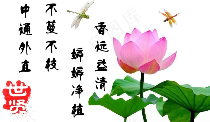 蜻蜓点水ai矢量模版下载