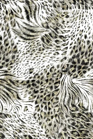 leopard print 