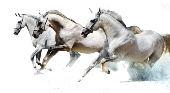 高清创意招聘广告设计标题背景PNG...