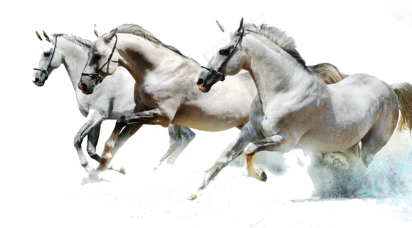 高清创意招聘广告设计标题背景PNG...