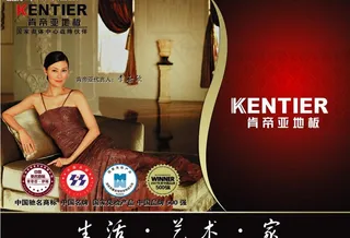 肯帝亚地板形象海报图片