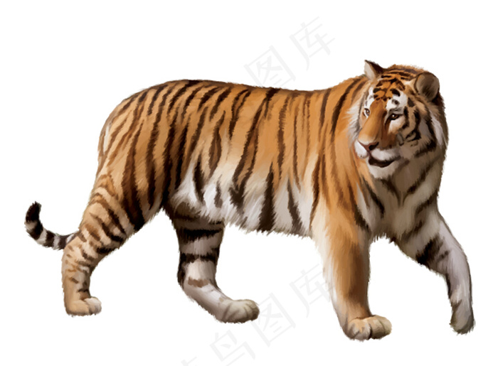 老虎矢量素材