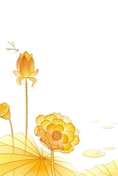 荷花 蜻蜓图片