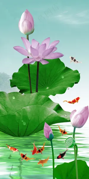 清新荷花九鱼图玄关背景墙装饰画