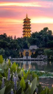 夕阳下的公园湖景古塔高清摄影图片