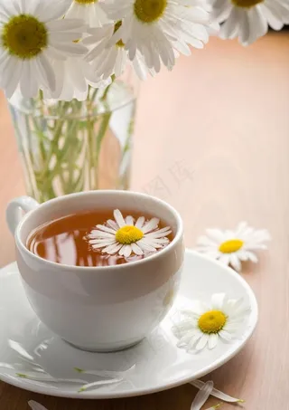 一杯菊花茶图片