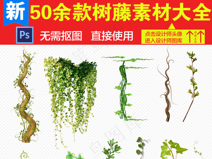 绿色树藤装饰边框海报PNG素材