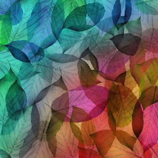 五彩交错透明树叶