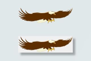 翱翔的雄鹰剪贴画