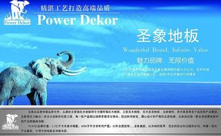 圣象地板图片