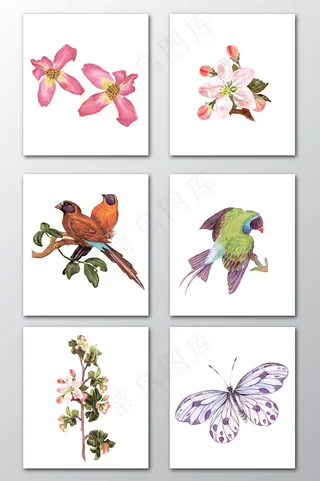 手绘花鸟蝴蝶素材