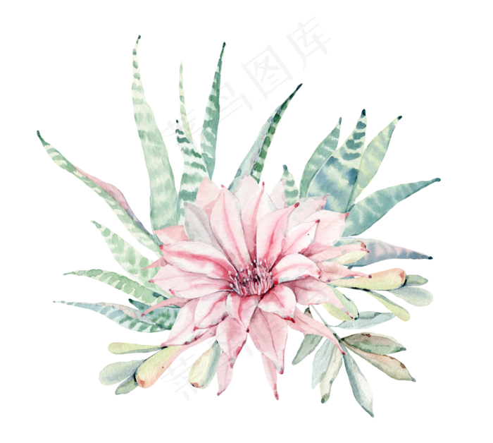 水彩手绘森系小清新绿色植物PNG(4563X4090)