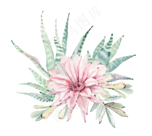 水彩手绘森系小清新绿色植物PNG