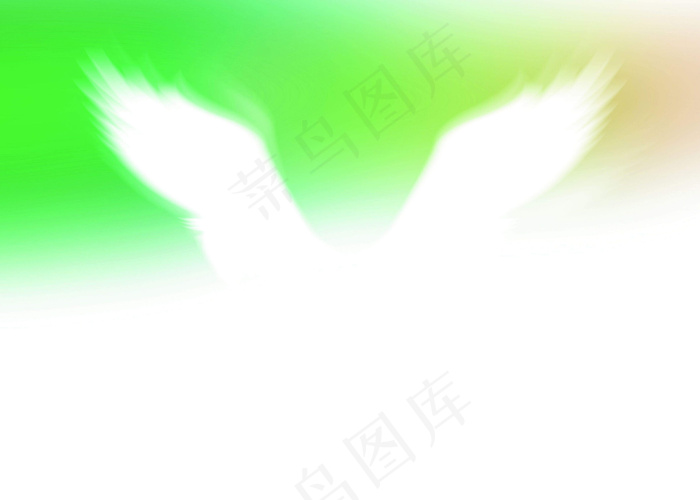 飞翔的羽翼