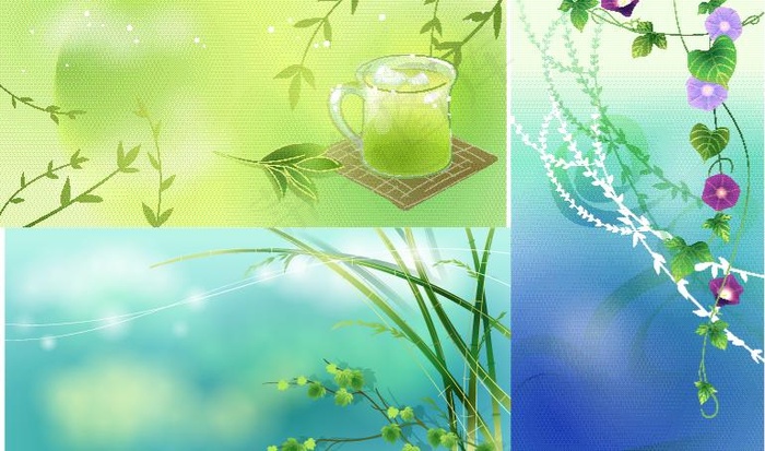 矢量叶子和花图片