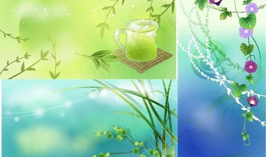 矢量叶子和花图片