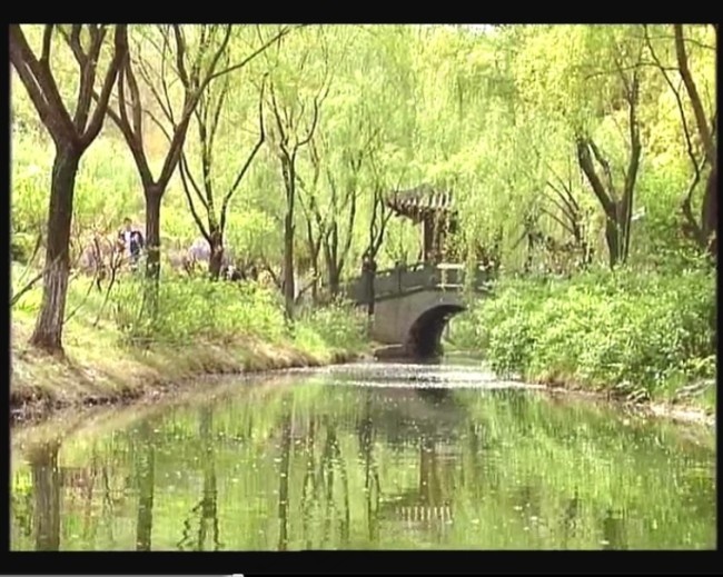 小河柳树桥亭视频素材下载