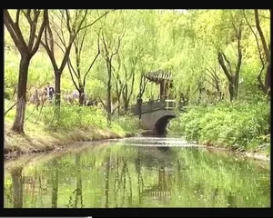 小河柳树桥亭视频素材下载
