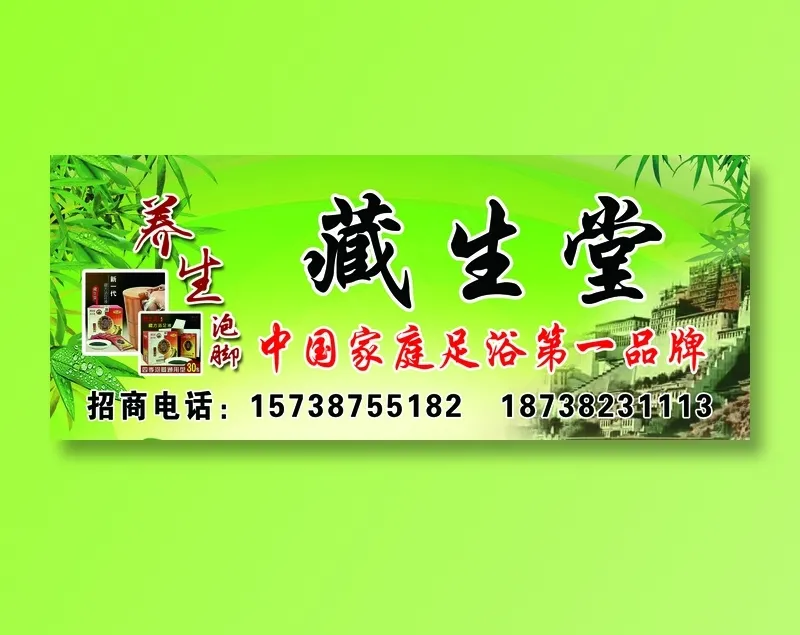 藏生堂单透psd模版下载