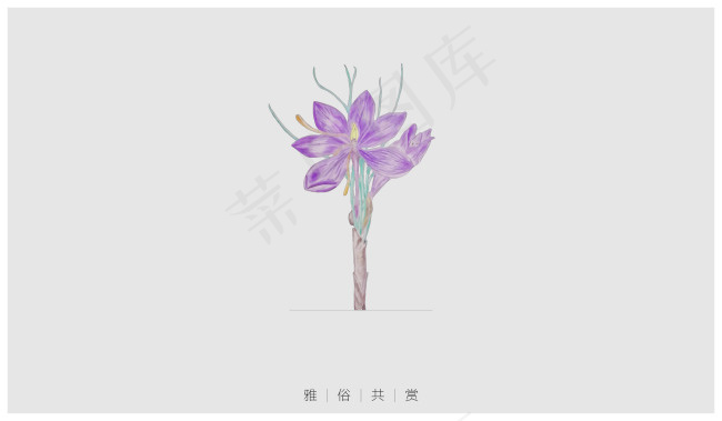 矢量手绘花朵ai矢量模版下载