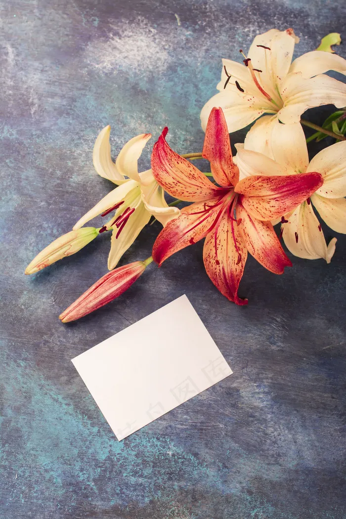 黄色花朵与名片图片