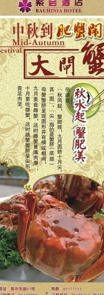 中秋节大闸蟹x展架图片cdr矢量模版下载
