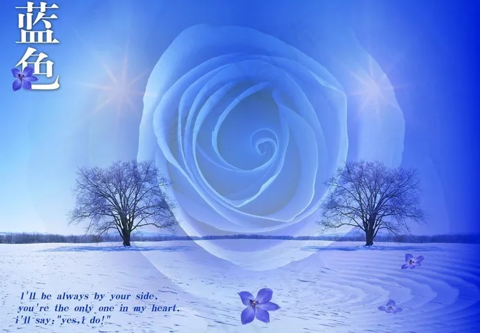 紫蓝色梦幻背景图片(4800X3600(DPI:200))psd模版下载