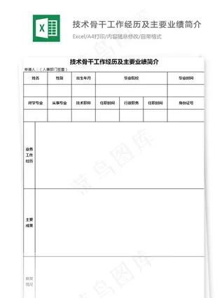 技术骨干工作经历及主要业绩简介