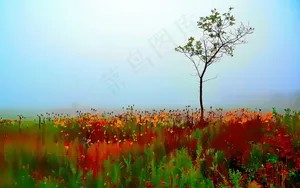 草地