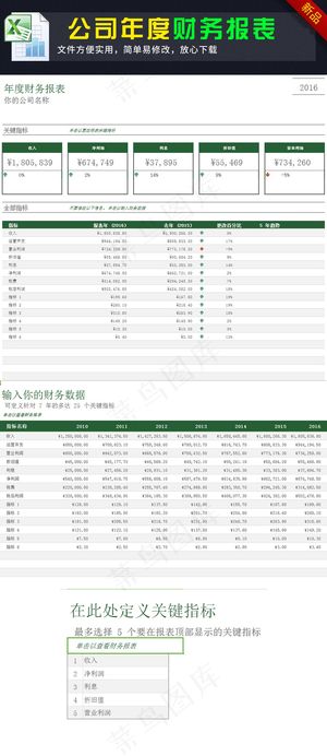 公司财务年度报表