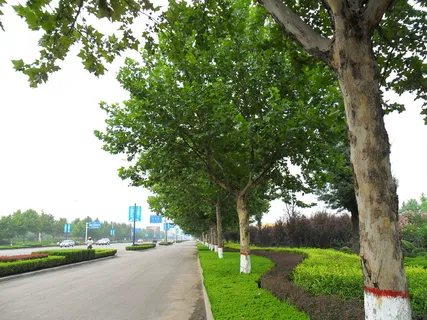 公路小景图片 公路小景图片