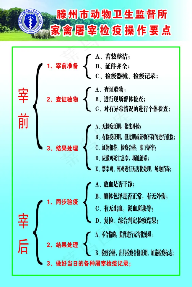 家禽屠宰操作要点psd模版下载