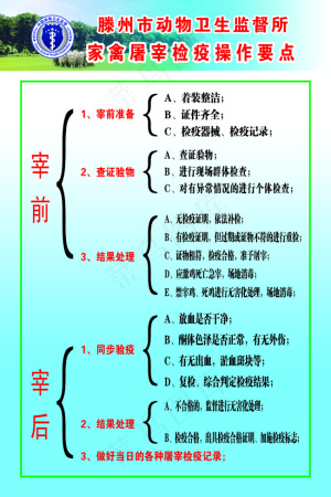 家禽屠宰操作要点