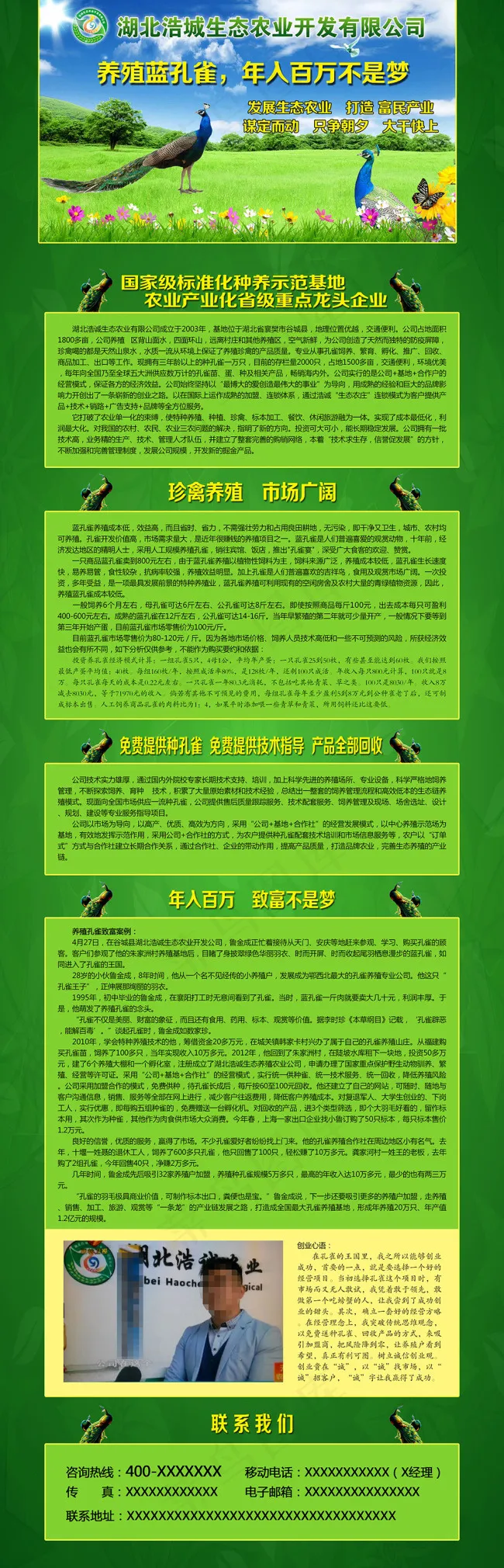 孔雀养殖网页psd模版下载