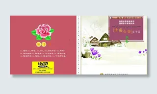 唱片cd包装图片
